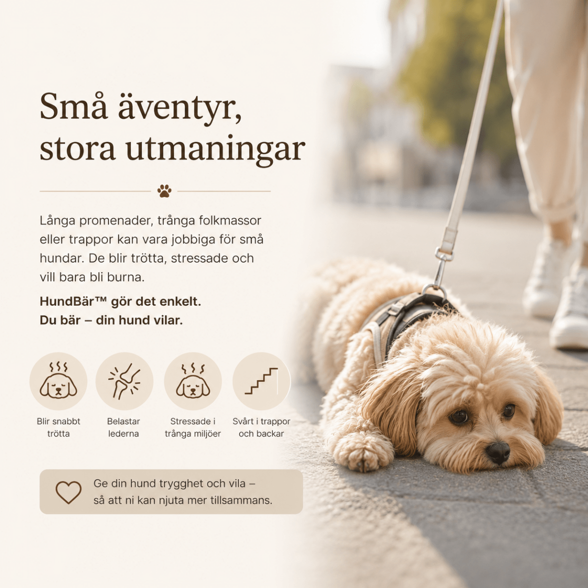 HundBär™ – Bekväm Bärväska för Små Hundar - Orange Clover